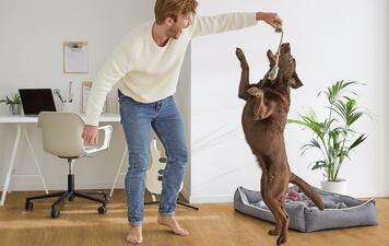 CORK FLOORING - FLOATING, GLUELESS INSTALLATION